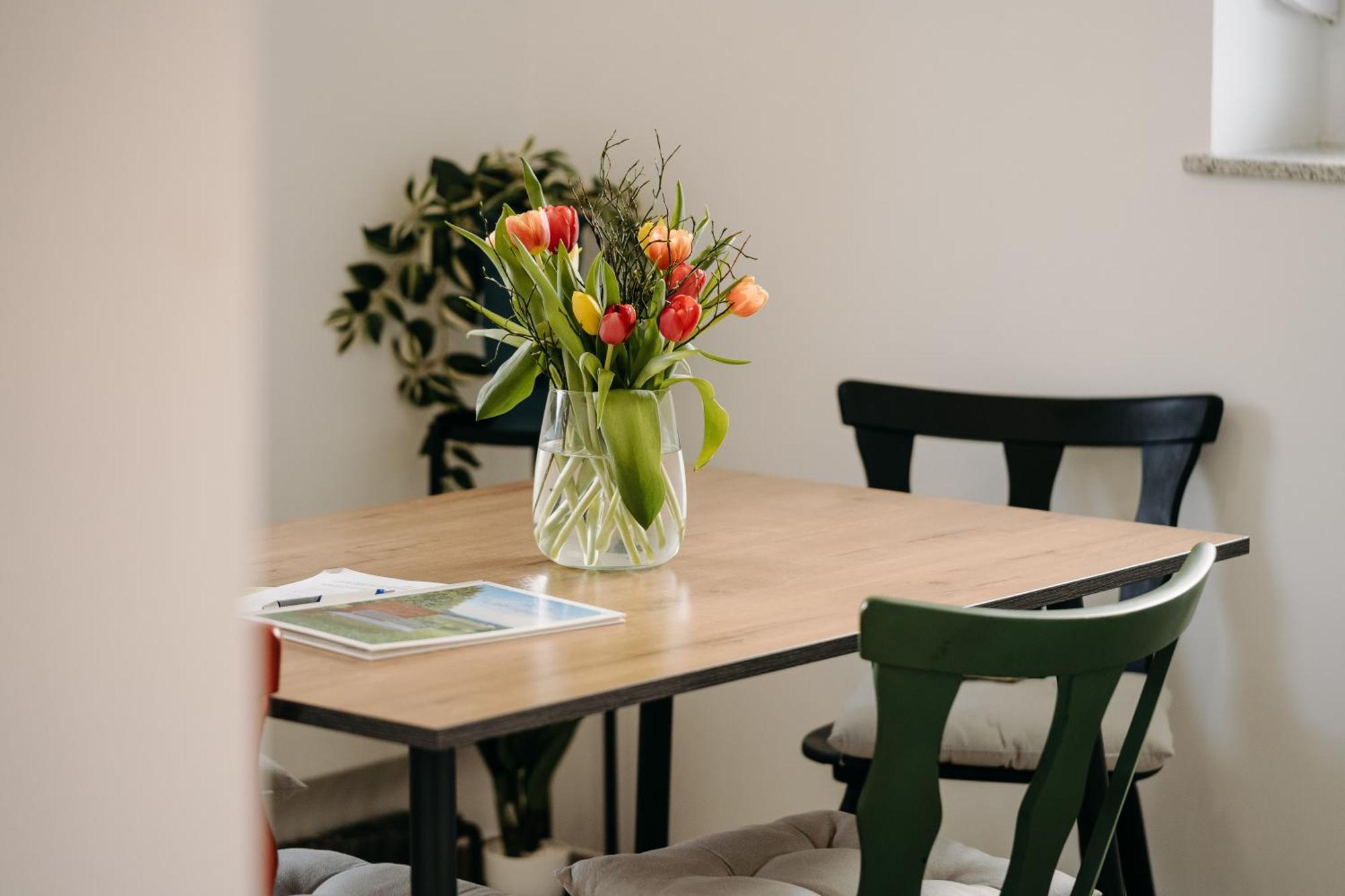 Zum Lieblingsplatz Apartment Guglitz Екстериор снимка